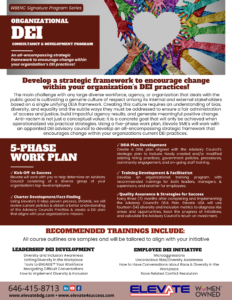 Organizational DEI Consultancy and Development Program